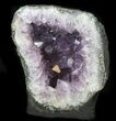 Amethyst Geode From Brazil - lbs #34432-2